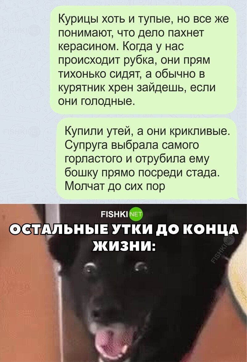 Жестоко