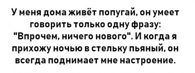 Алкопост на вечер этой пятницы