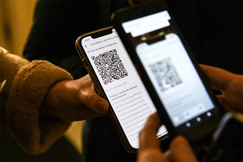 Соратница Зюганова раскритиковала Голикову за введение QR-кодов. «Может конституцию отменить?»