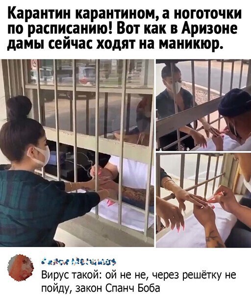 Смешные и познавательные картинки