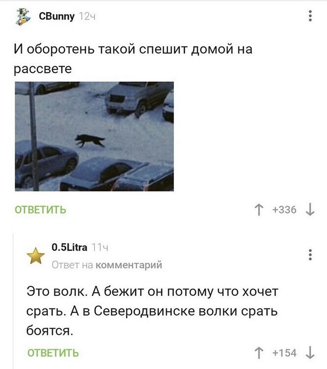 Смешные и познавательные картинки