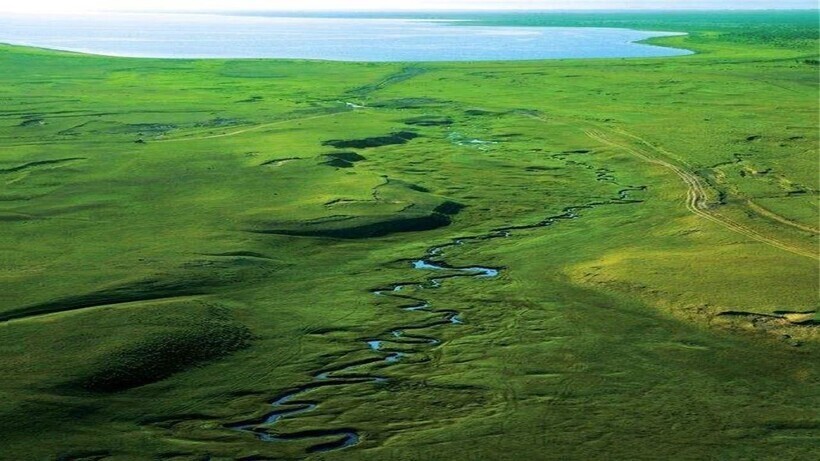 4 сантиметра в ширину:  самая узкая река планеты