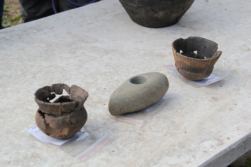 В Брянской области при сортировке картофеля нашли каменный топор возрастом 5 тысяч лет
