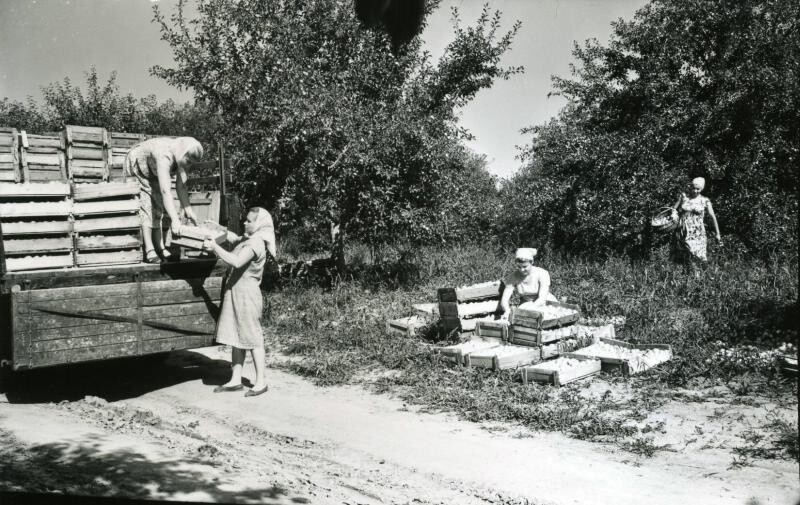 Черно-белые фотографии времён СССР