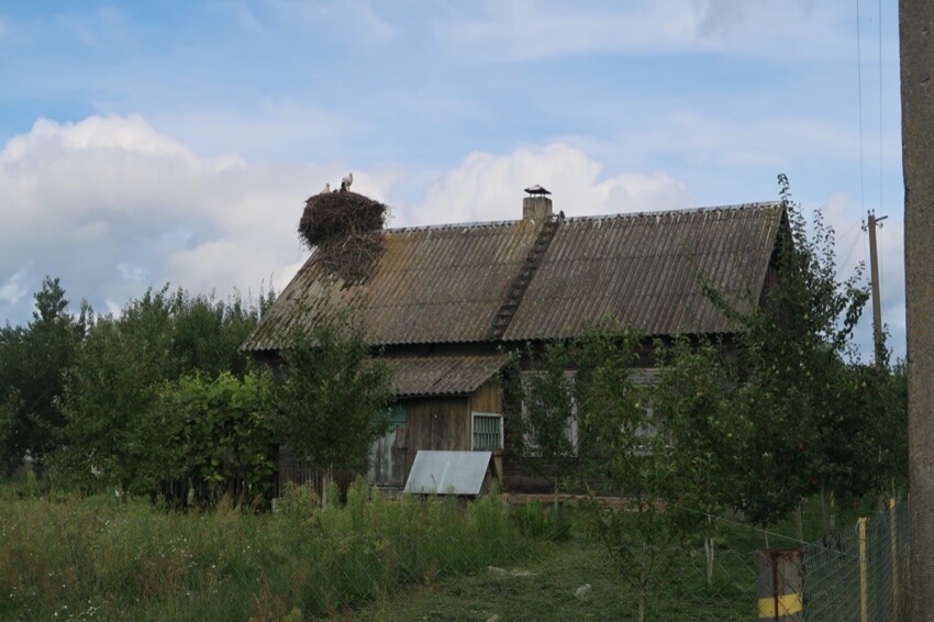 На юге Беларуси есть одна деревня, окруженная болотами
