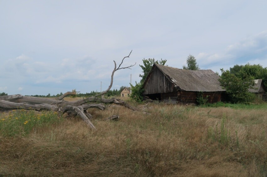 Деревни Полесья. Разговор с бабушкой