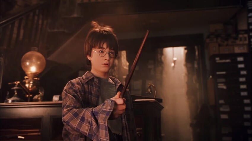 Какую палочку в магазине у Оливандера получил Гарри Поттер?