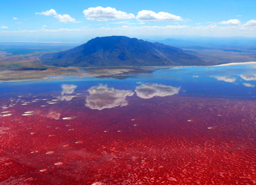 10 фактов об очень опасном озере Натрон в Танзании