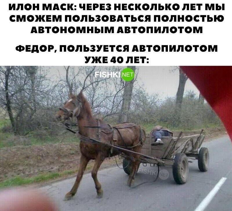 Как тебе такое, Илон Маск?