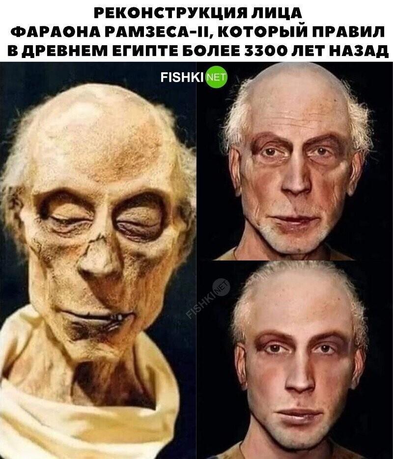 Из него вышел бы отличный панк