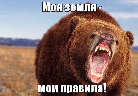 Политический новостной мониторинг , обеденный. Выпуск 27