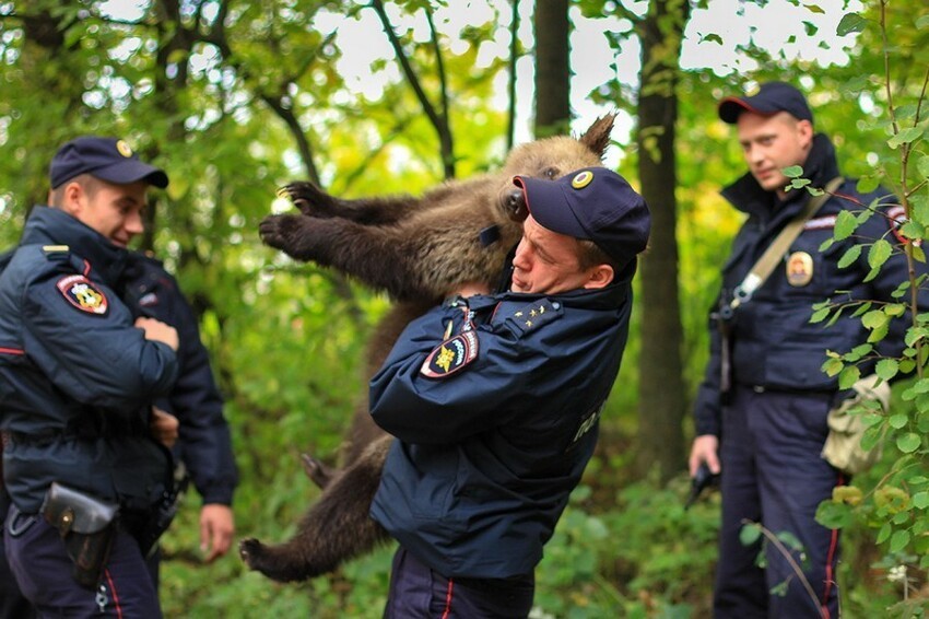 Всё вразнобой