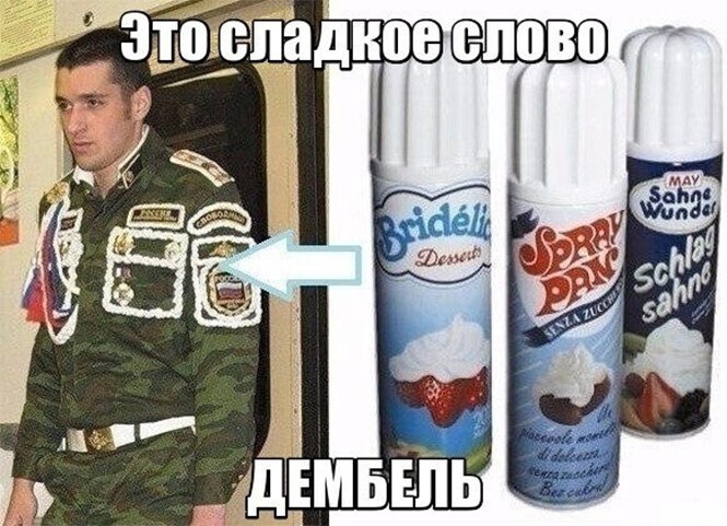 Смешные и познавательные картинки