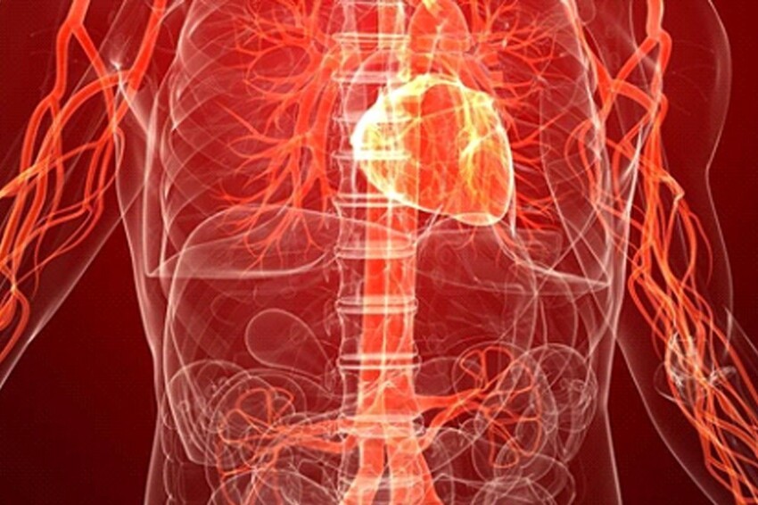Вдох выдох: как влияет дыхание на ваше здоровье