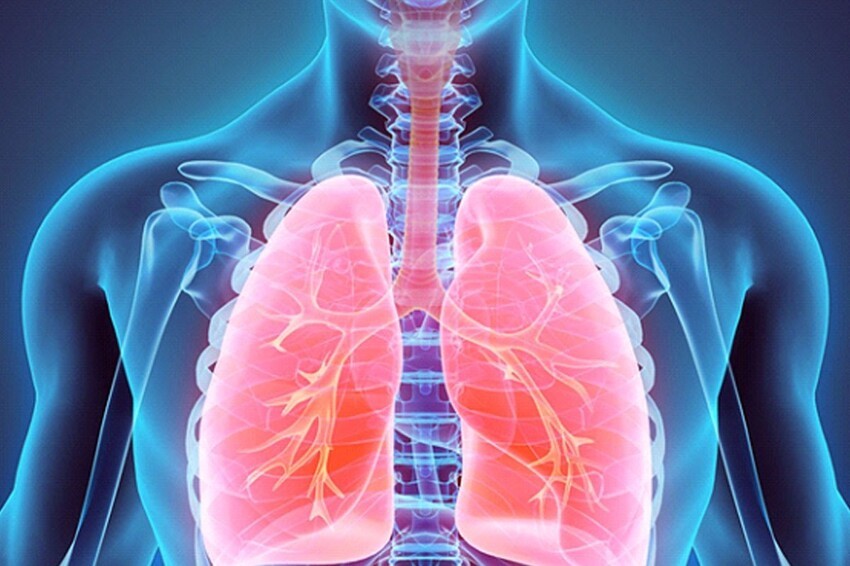 Вдох выдох: как влияет дыхание на ваше здоровье