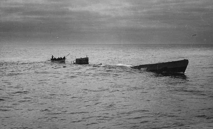 12. Во время войны британцы тренировали чаек, чтобы те слетались к перископам подводных лодок. Так их легче было обнаружить