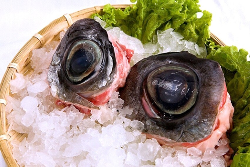 Самые ужасные блюда Японии: когда лучше есть с закрытыми глазами