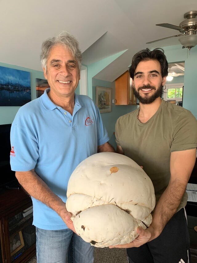 Этот огромный гриб мы нашли недалеко от дома