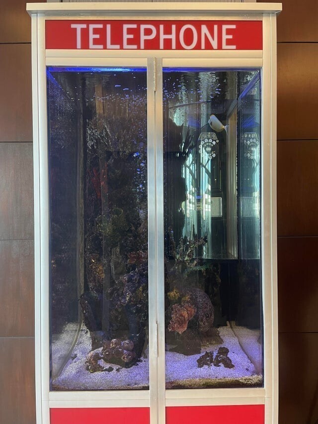 Эту телефонную будку превратили в аквариум