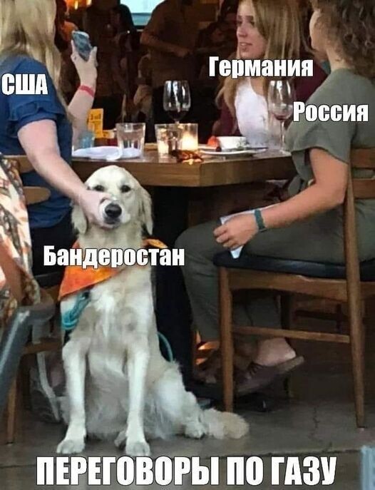 Политический новостной мониторинг , обеденный. Выпуск 30