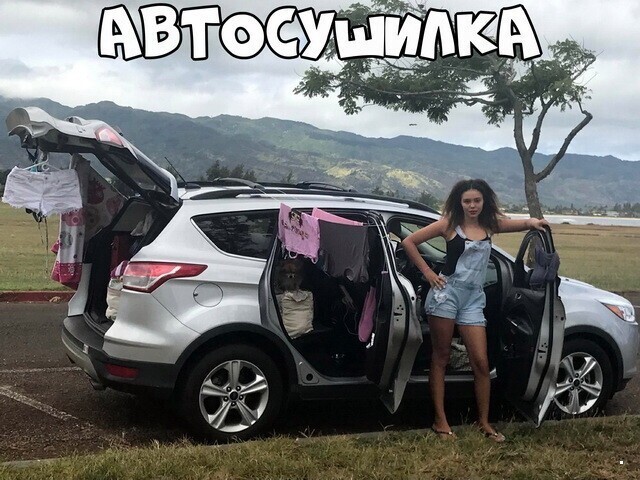 Автовсячина