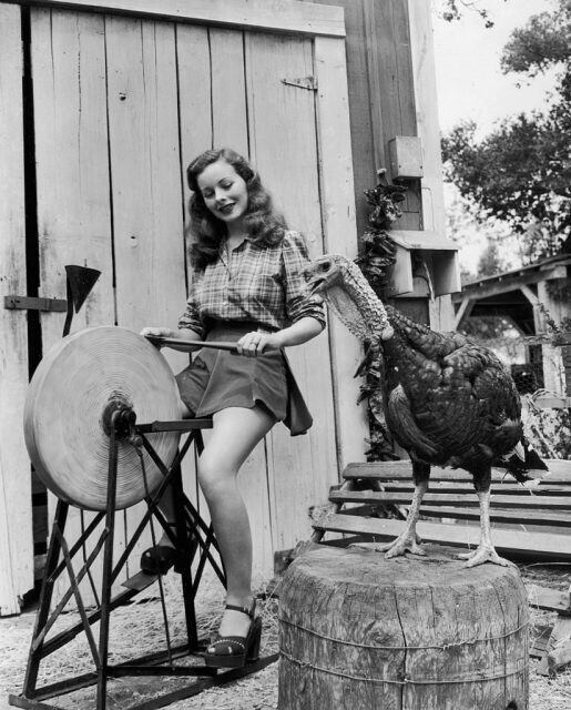Актриса Джин Крейн точит тополрик, 1946