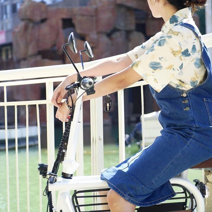 Японцы изобрели велосипед, на котором можно ездить с питомцем