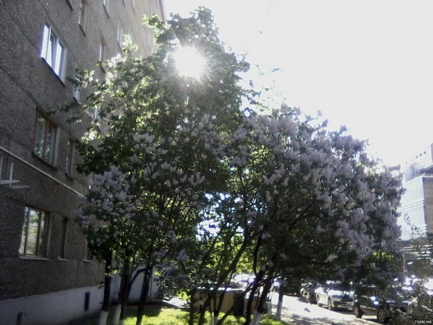 Солнце Вам, Весной))))
