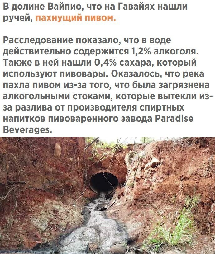 Почему не в России)))