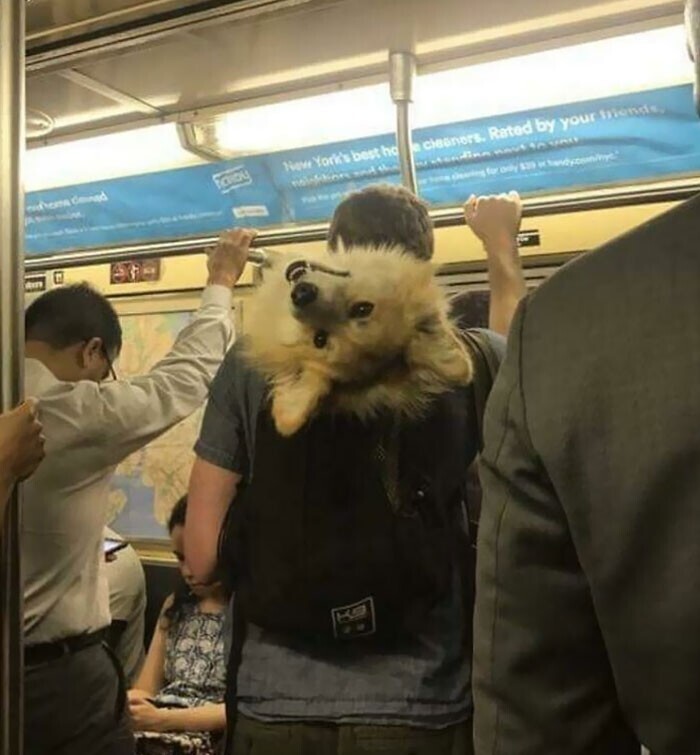 18. "Привет вам из метро Нью-Йорка"