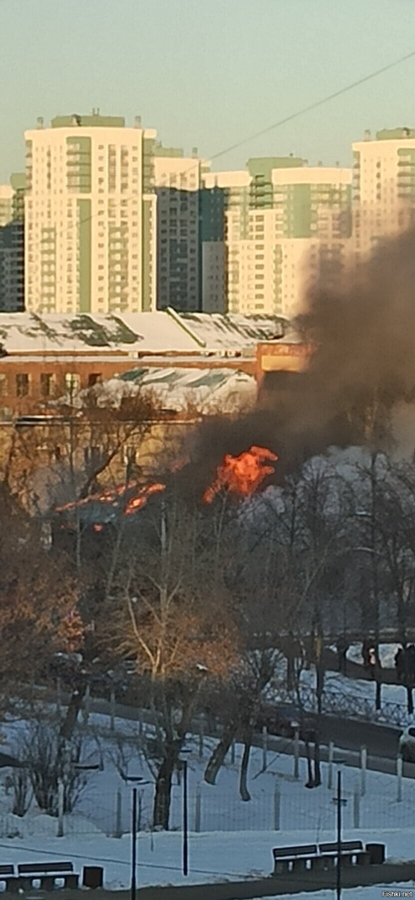 Сам не пошёл смотреть пожар - лень