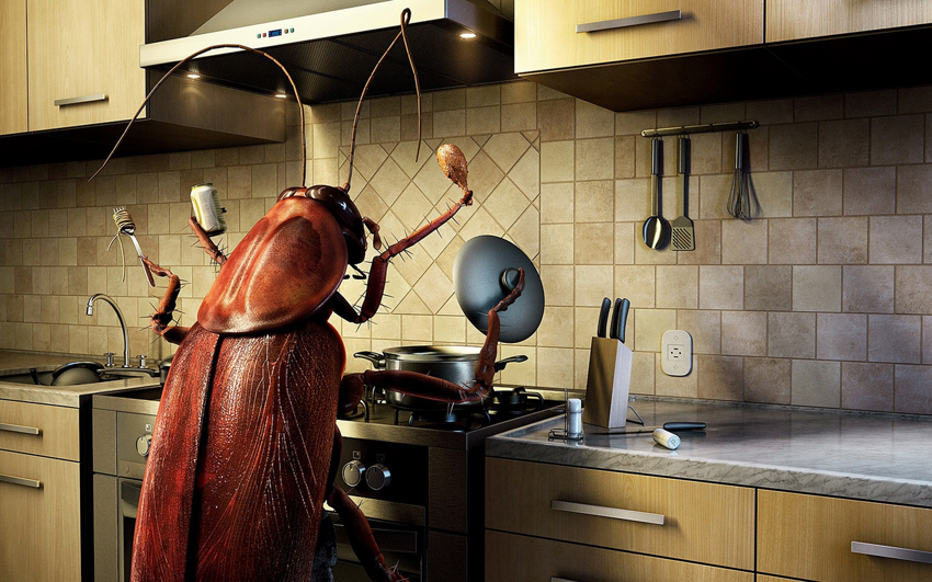 Почему тараканы такие неубиваемые? Секрет живучести вредителей