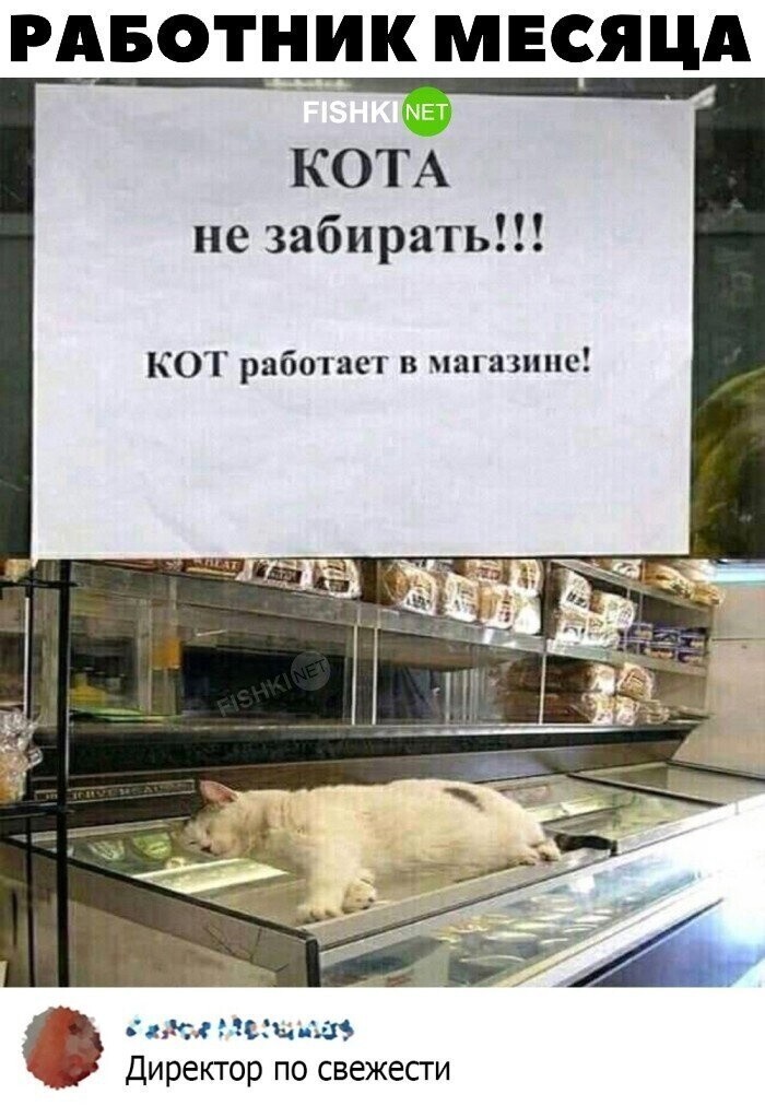 Вот сейчас обидно было