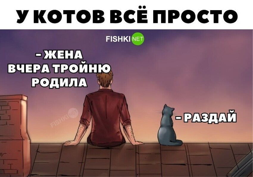 А что, идеая!