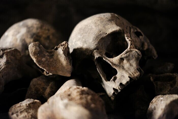 19. Разложение тела до скелета в обычной почве может уйти около года, а на разложение скелета - от восьми до двенадцати лет