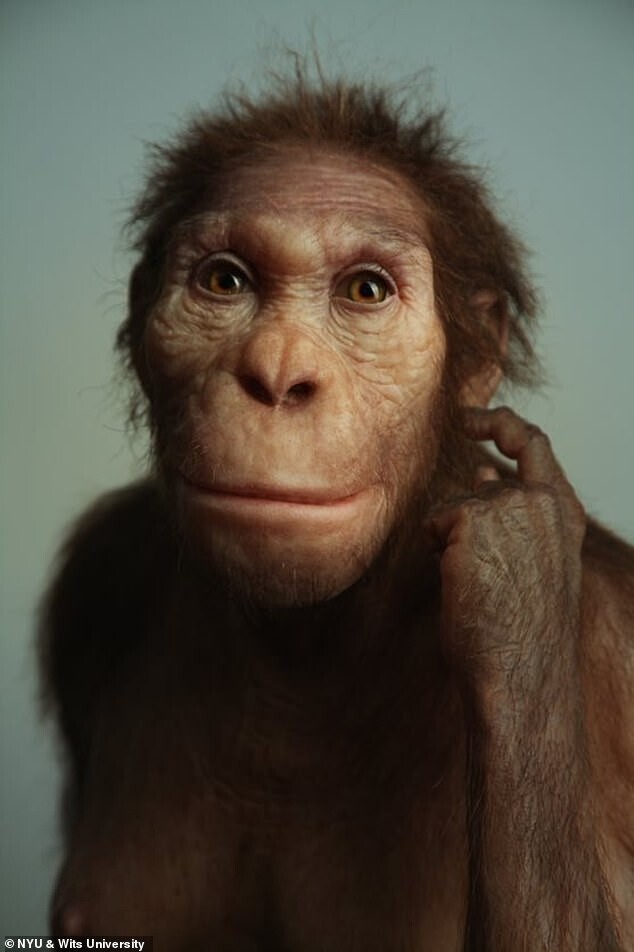 Ученые нашли останки древнего родственника человека, жившего 2 млн лет назад