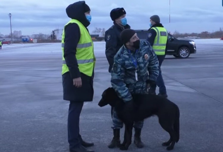 Красота - страшная сила: два пассажира в полёте не поделили место подле прекрасной дамы