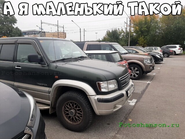 Автовсячина