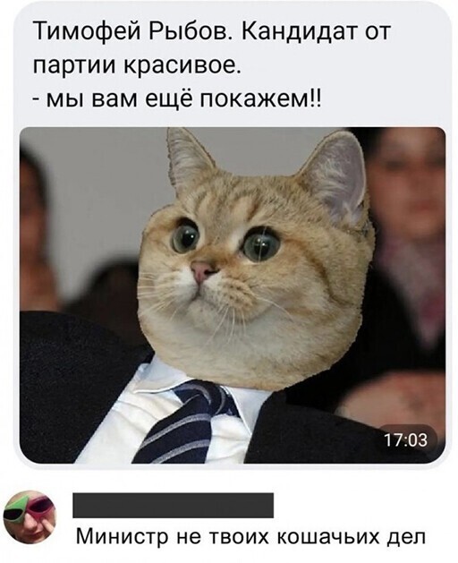 Смешные и познавательные картинки