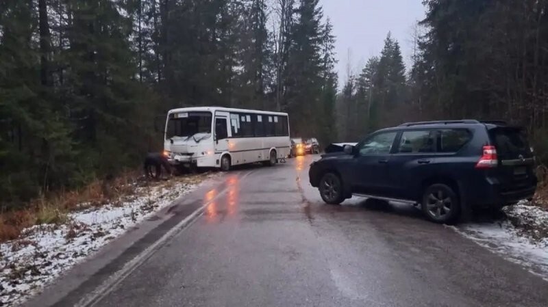 Авария дня. Пассажиры автобуса получили травмы в ДТП, которое произошло в Ленобласти