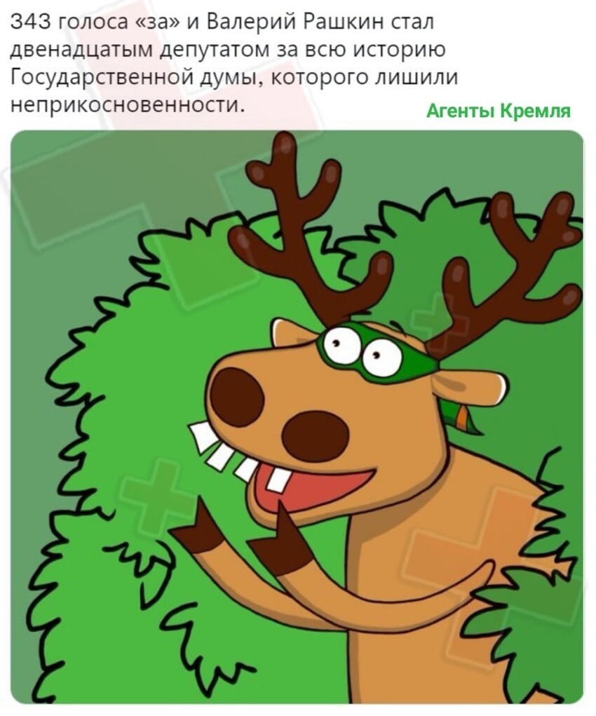 Рашкин vs лось 1:1