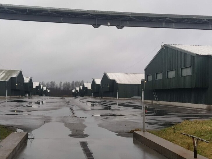 Новая производственная площадка птицефабрики «Северная» запущена в Ленинградской области