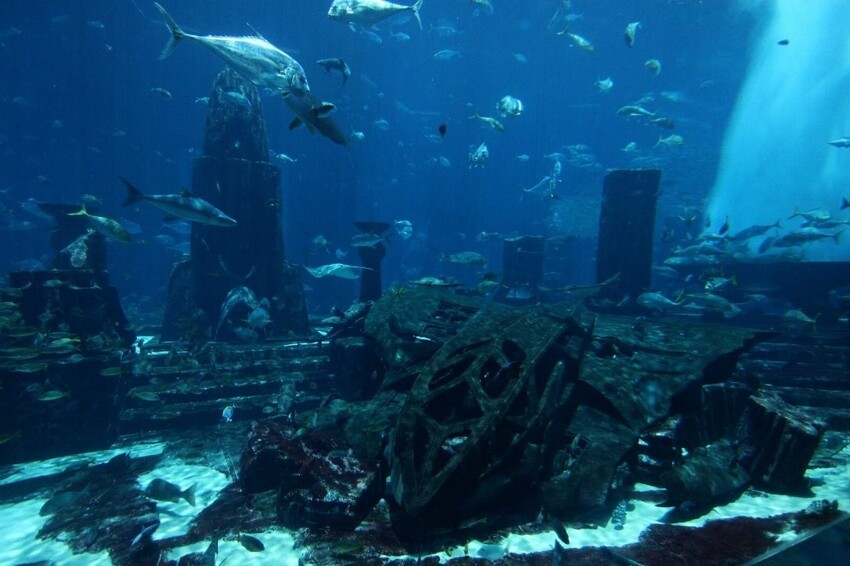 Не только Атлантида: какие древние города безвозвратно ушли под воду