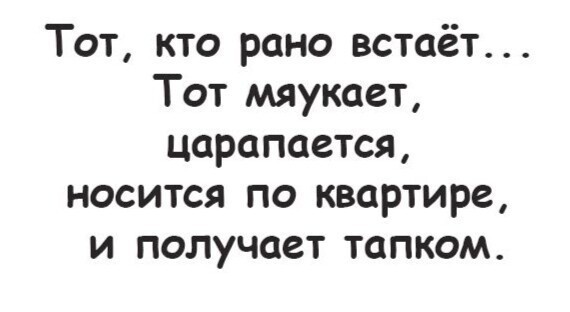 С Праздником питомцы и добрые люди