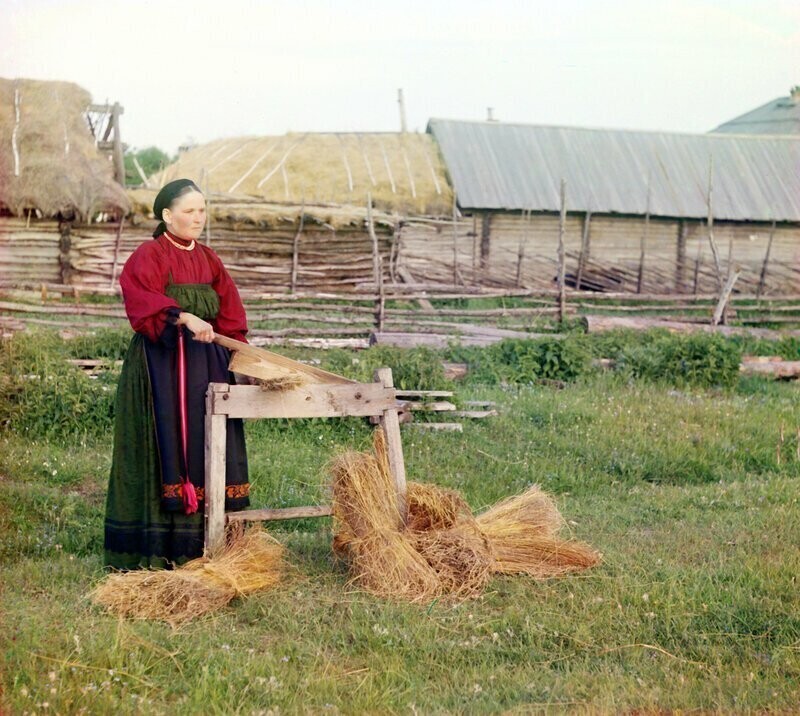 Крестьянка мнет лен. Пермская губерния, 1910 год