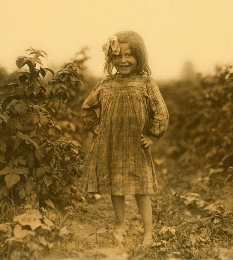 6-лентяя сборщица ягод в Балтиморе, штат Мэриленд, 1909 год