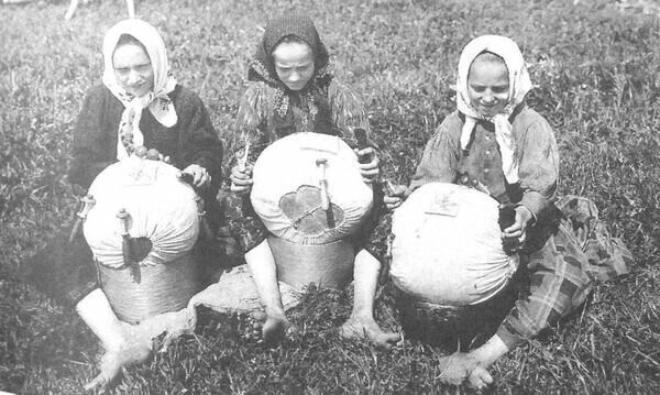 Девочки кружевницы за плетением узоров. Село Куликово, Московская губерния, 1913 год