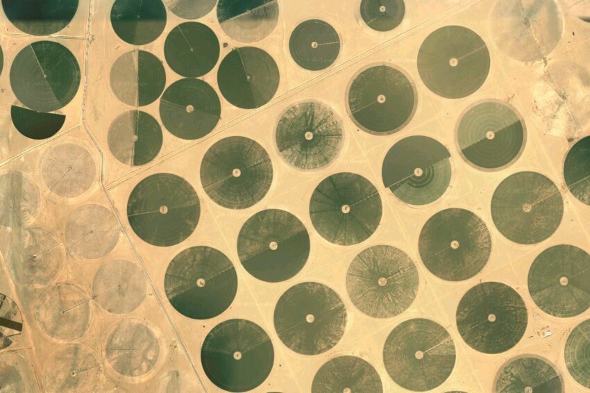 Загадочные зелёные круги посреди пустыни
