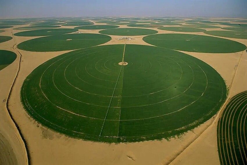 Загадочные зелёные круги посреди пустыни