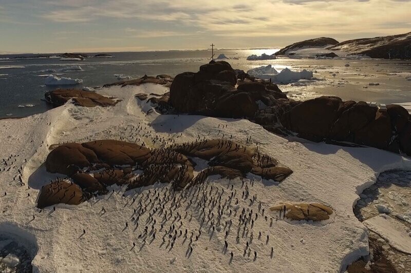 Ледяной приют: как хоронят полярников в Антарктиде